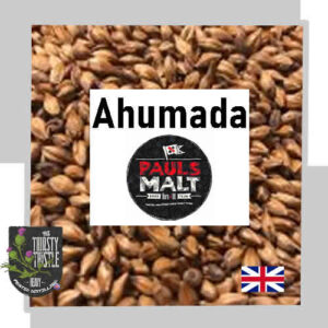 MALTA AHUMADA PAULS MALT X 25 KG
