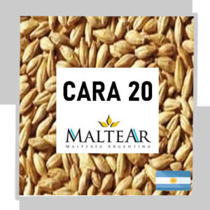 MALTA CARAMELO 20L MALTEAR X 1 KG