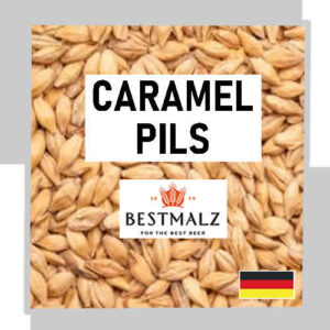 MALTA CARAMEL PILS X 25 KG - BESTMALZ