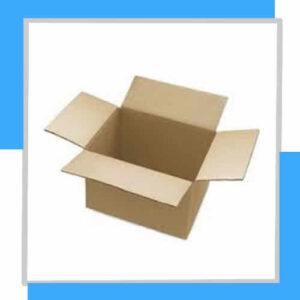 CAJA DE CARTON 500CC P/12BOT