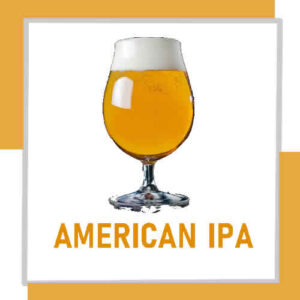 KIT DE INSUMOS - ESTILO AMERICAN IPA