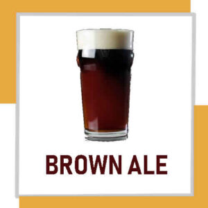 KIT DE INSUMOS - ESTILO BROWN ALE