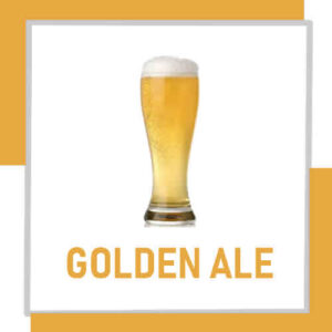 KIT DE INSUMOS - ESTILO GOLDEN ALE
