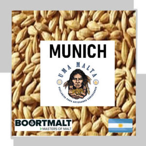 MALTA MUNICH X 25 KG UMA MALT