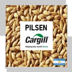 MALTA PILSEN X 5 KG - MOLIDA