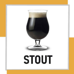 KIT DE INSUMOS - ESTILO STOUT