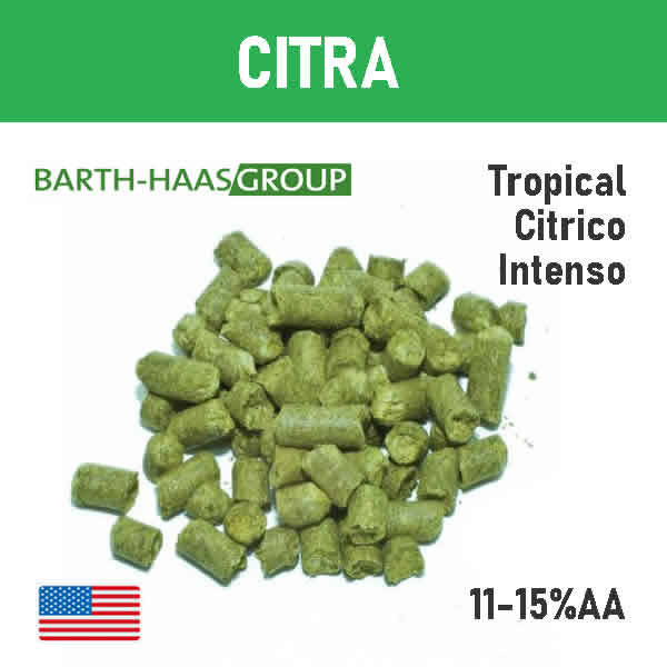 LUPULO CITRA X 100 GRS.